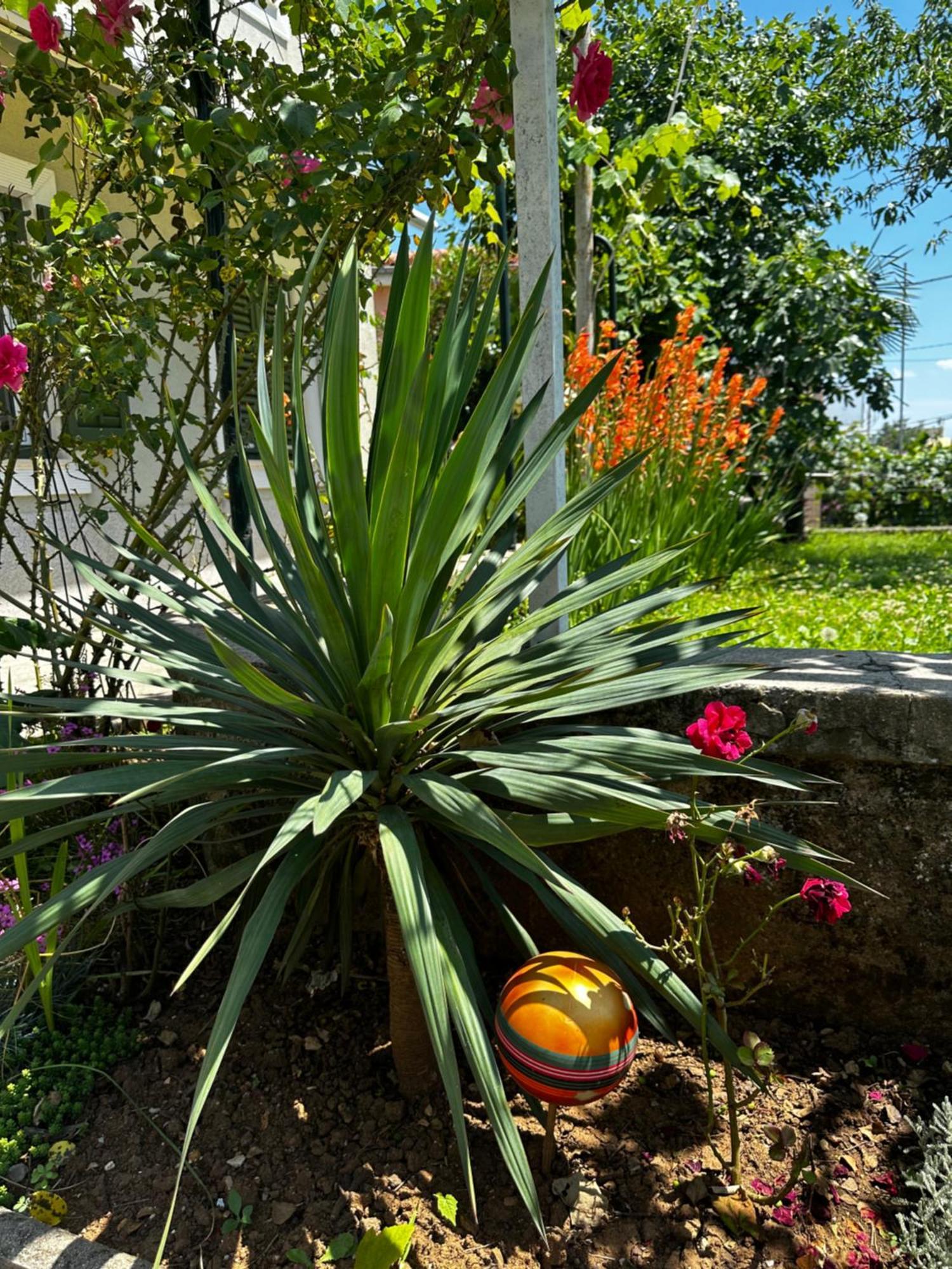 Zamet 500m From Sea And Free Parking * Rijeka